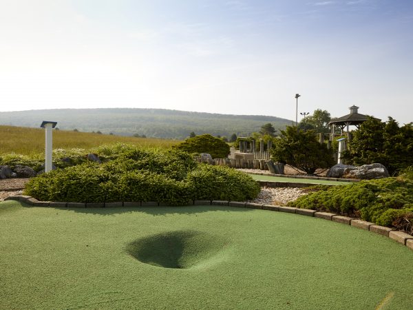 a golf course with a golf ball