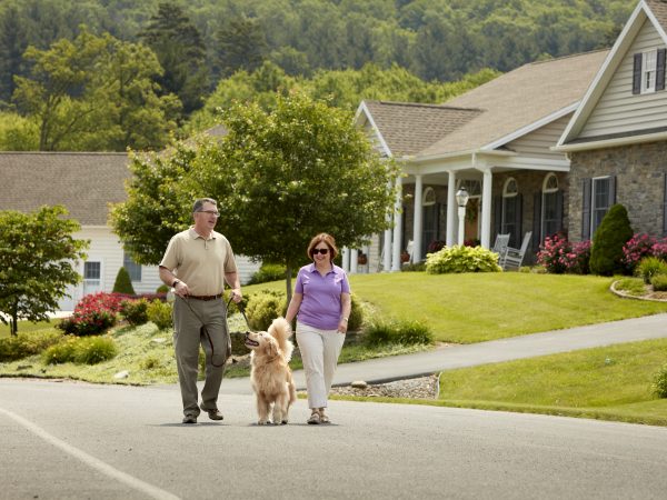 a man and woman walking a dog