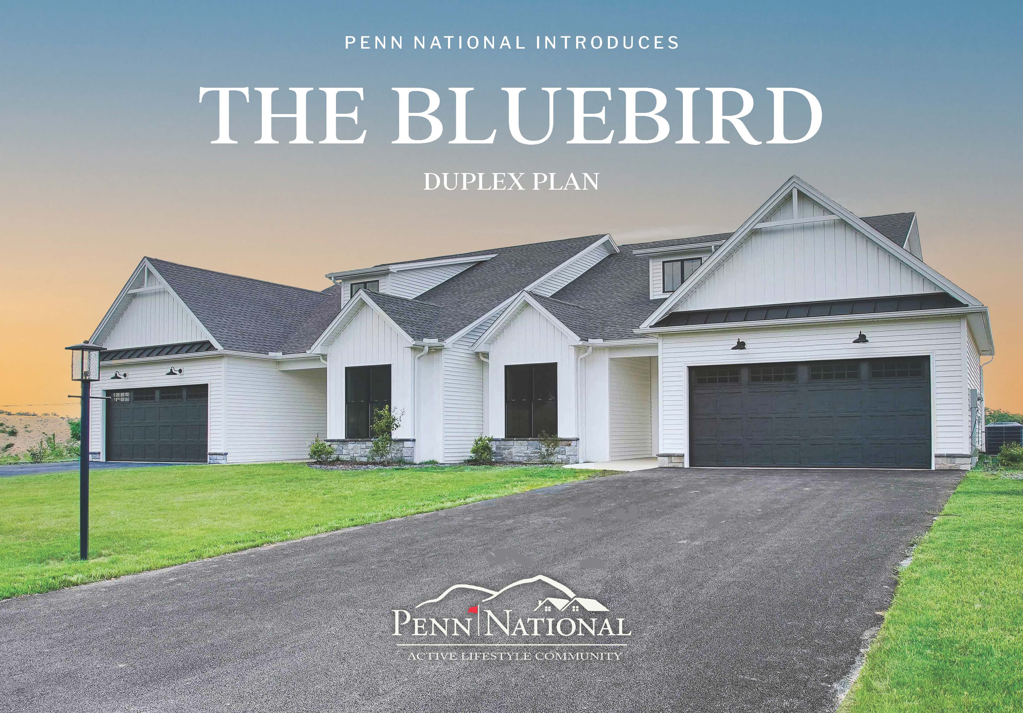 Bluebird Brochure Cover