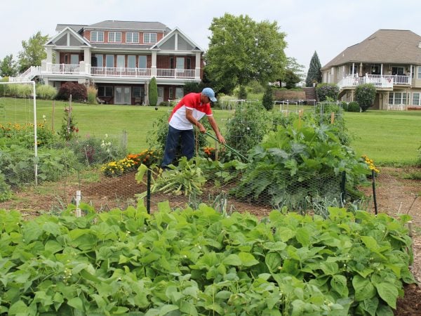 a person in a garden