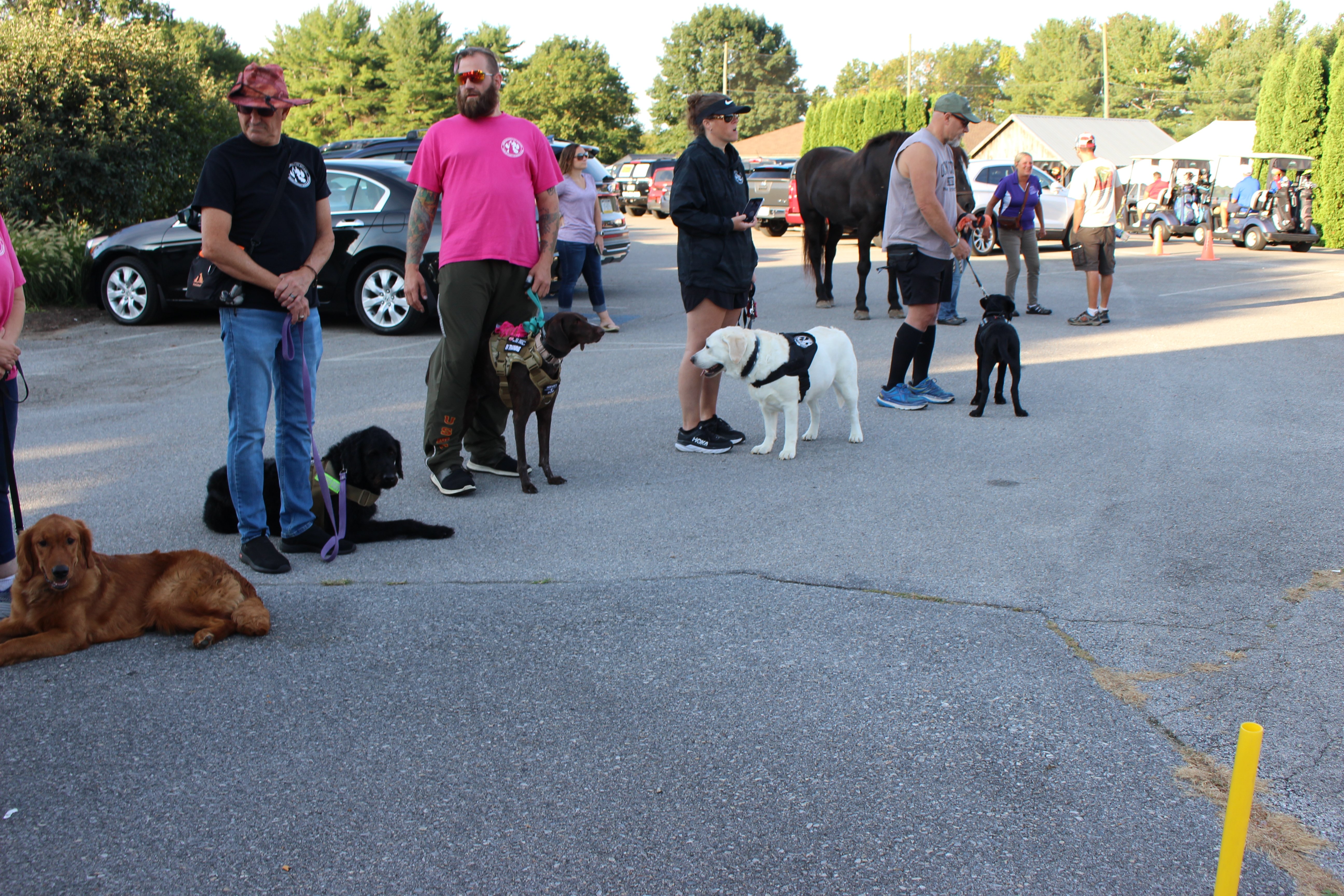 Service Dogs at Franklin County Veteran Tournament