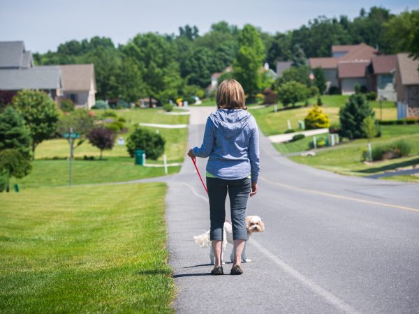 a person walking a dog on a road