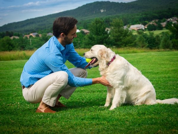 a person playing with a dog