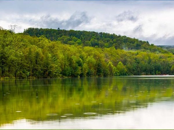 a body of water with trees around it